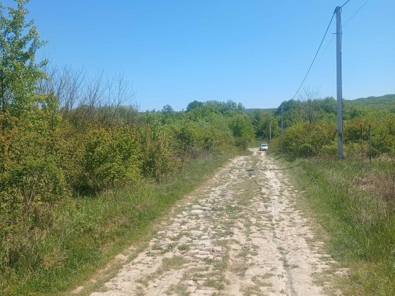 Земельна ділянка в Горянах 12 соток