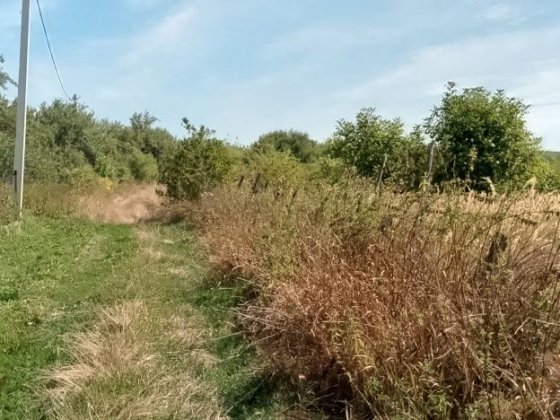 Продається земельна ділянка в Горянах Ужгород
