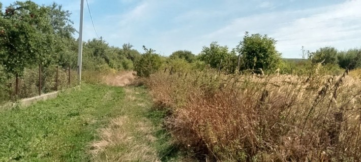 Продається земельна ділянка в Горянах - фото 1
