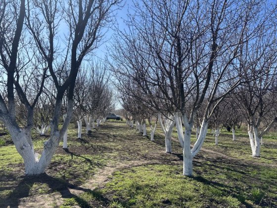 Продаж ділянки 9 соток СТ «Мрія» на Першотравневій, Черкаси