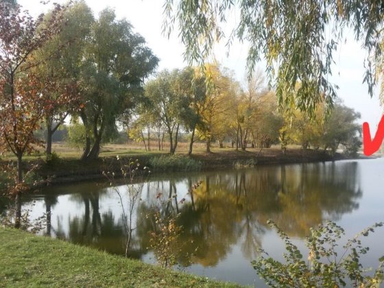 Ділянка землі з хатою Черкассы