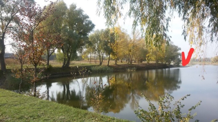 Ділянка землі з хатою - фото 1