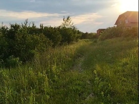 Продаж земельної ділянки в Горянах