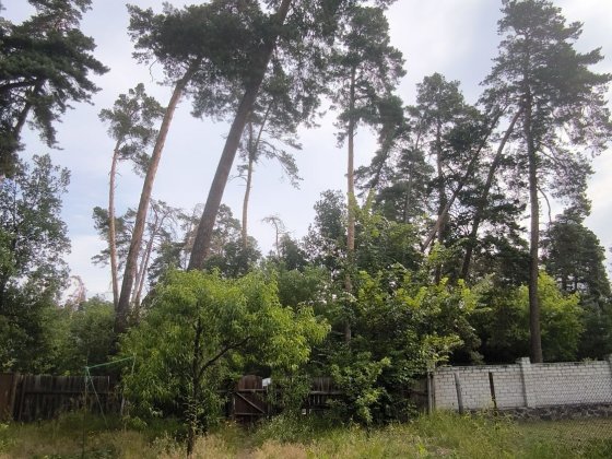 Продаж будиночку та земельної ділянки в Соснівці