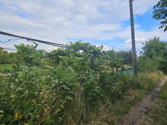 Продаж  дачної ділянки  Чернівці Черновцы