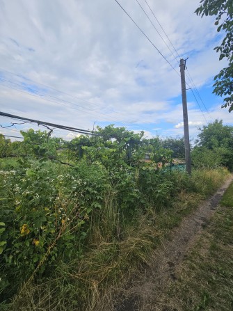 Продаж  дачної ділянки  Чернівці - фото 1