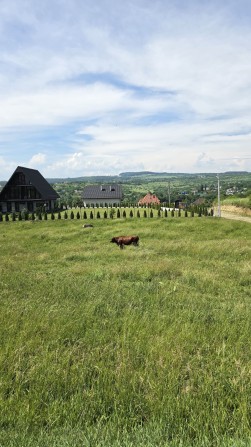 Продаж землі в Михальчі,  не далеко від школи - фото 1