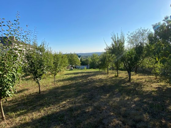 Продаж земельної ділянки Черновцы