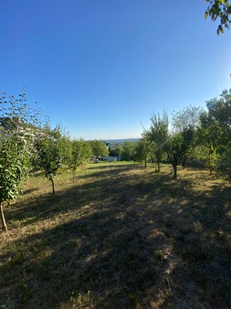 Продаж земельної ділянки - фото 1