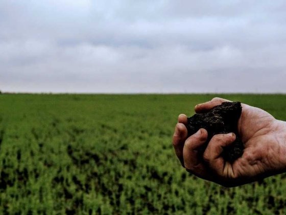 Продам земельну ділянку  2 га під Черніговом Чернігів