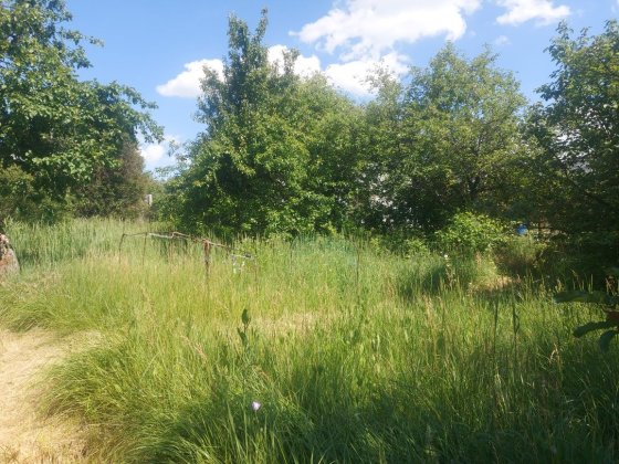 Продам ділянку для садівництва. С/т Вікторія, межі міста Чернігів