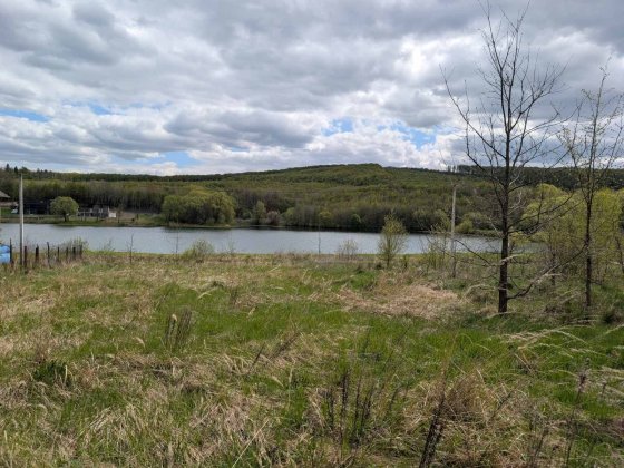 Продається земельний участок в тихому місці Черновцы