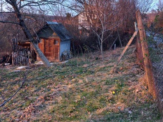 Земельна ділянка (дача)