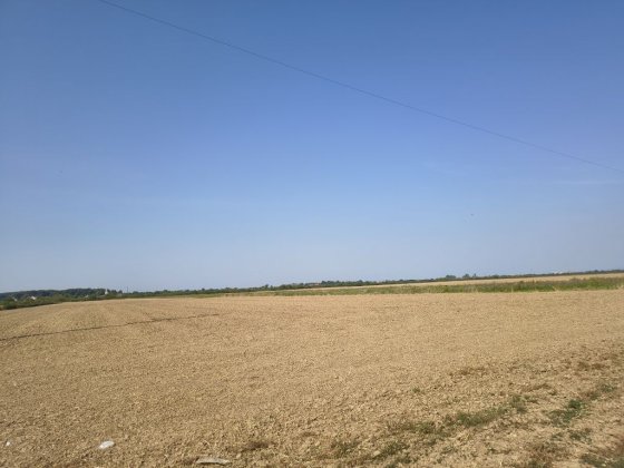 Ділянка сільськогосподарська Ужгород