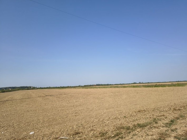 Ділянка сільськогосподарська - фото 1