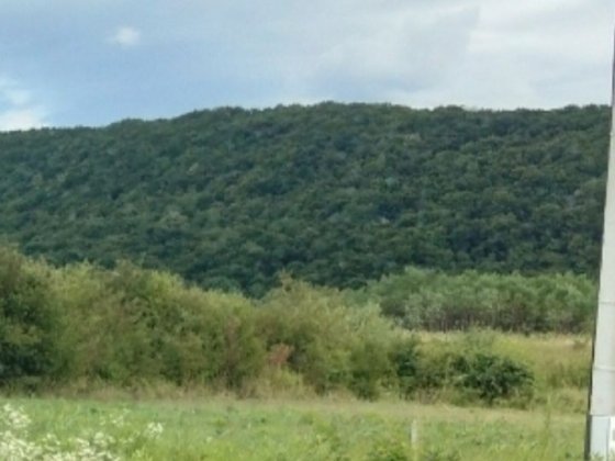 Продам ділянку ,електропостачання на ділянці 15 квт Ужгород