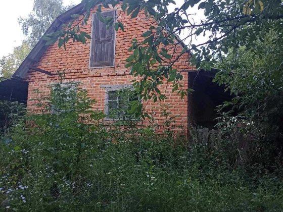 Продається земельна ділянка 54 сотки та побудовані споруди в с.Моринці