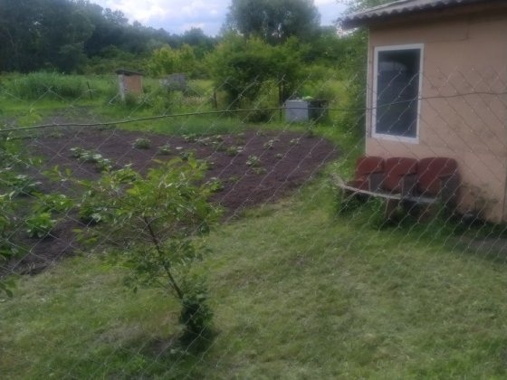 Дачный участок (лозивок) Черкассы