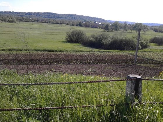 Продам земелну ділянку