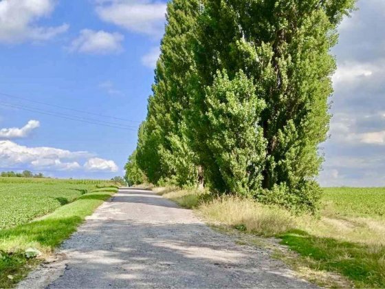 Продам фасадну земельну ділянку . Пай 1.35 Га