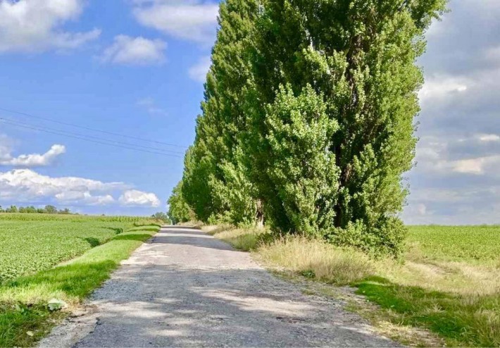Продам фасадну земельну ділянку . Пай 1.35 Га - фото 1