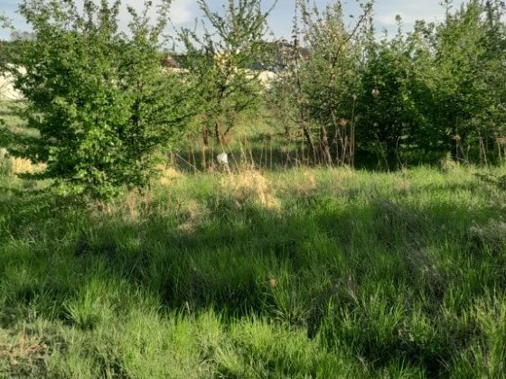 Продаж земельної ділянки Винница
