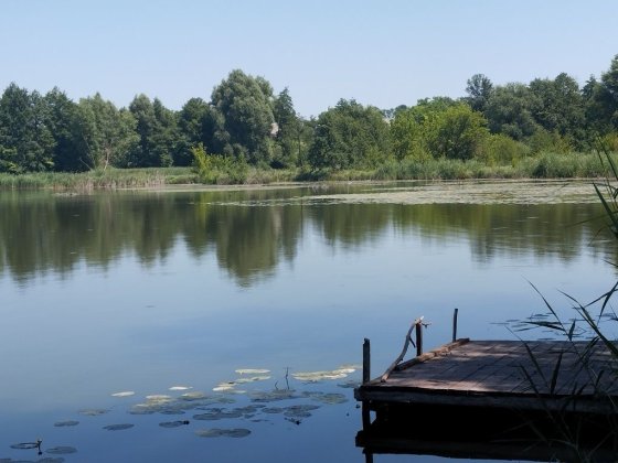 Вінницький р-н  ділянка61сотка Винница