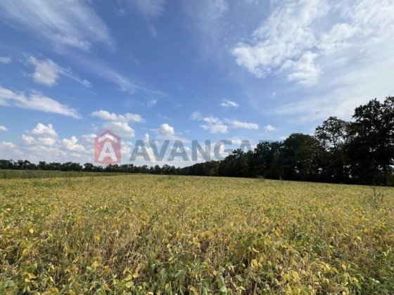 Продаж земельної ділянки 1,38 га Тяжилів /Східна 052 Винница