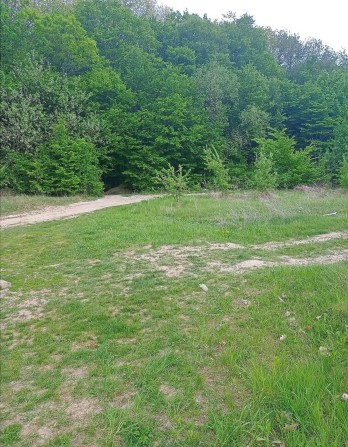 Продаж земельної ділянки на Старому місті - фото 1