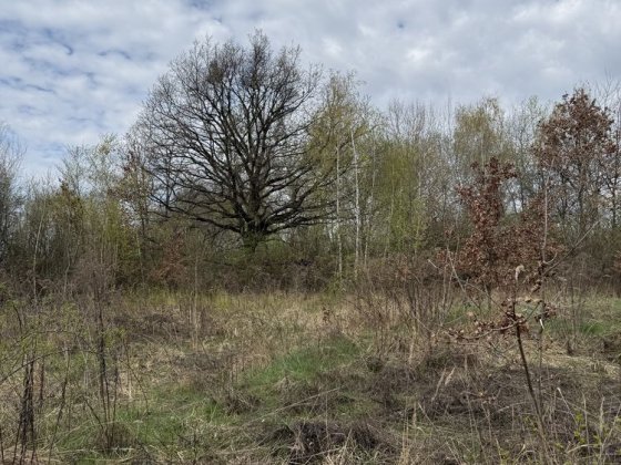 Продам земельну ділянку поруч з ЖК «Шервуд»