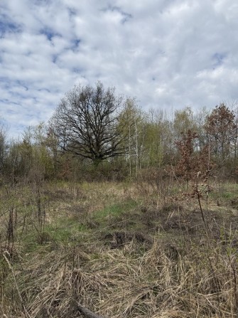 Продам земельну ділянку поруч з ЖК «Шервуд» - фото 1