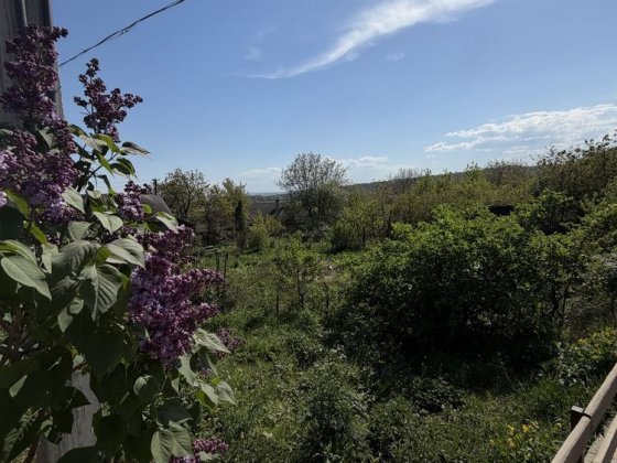 Продаж земельної ділянки по вул.Вашківській, р-н Роша Черновцы
