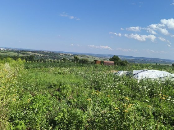 Продається земельна ділянка вул димківська кінечна  19 маршруту Черновцы