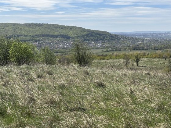 Продам земельну ділянку Черновцы