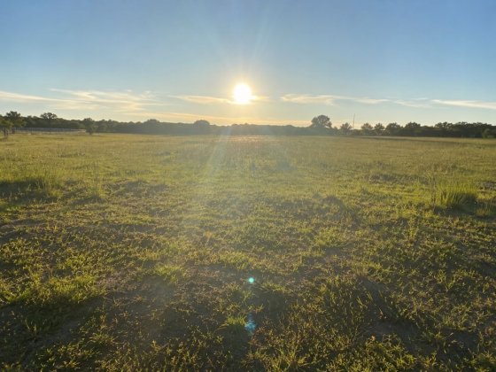 Продам земельну ділянку с. Товстоліс (20 соток) з будинком Чернігів