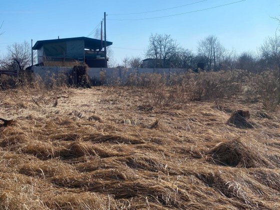 Продам 6,5 соток, Урочище Святе (Пролетарський Гай)! DI Чернігів