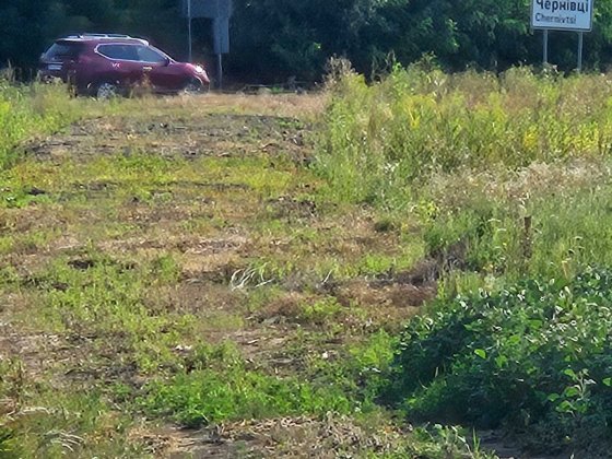 Ділянка під автобазар, автосервіс 50 соток, кінець Сторожинецької Чернівці