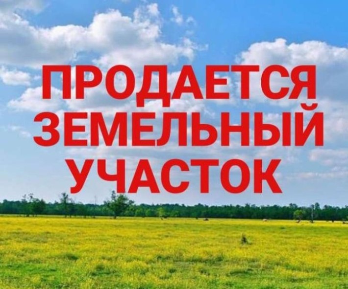 Острица, Земельна ділянка під бизнес 114 соток, цена бомба - фото 1
