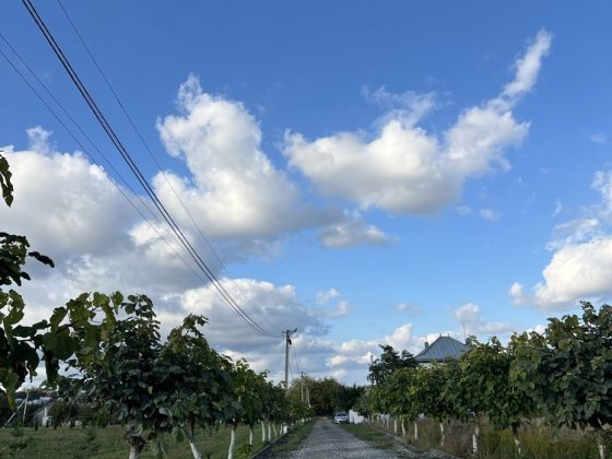 Земля Під будівництво Таунів 49 сот Чернівці