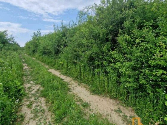 Продаж земельної ділянки для будівництва, Садовий