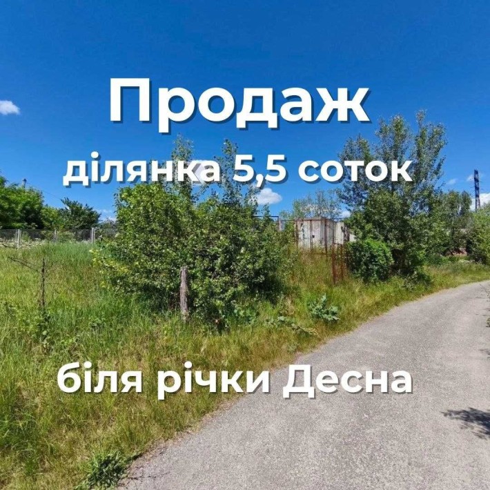 Ділянка біля р.Десна Чернігів. (SP) - фото 1