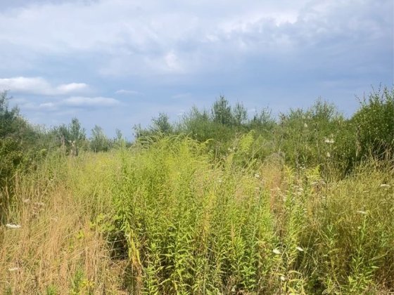 Продаж ділянки 7 соток Садовий