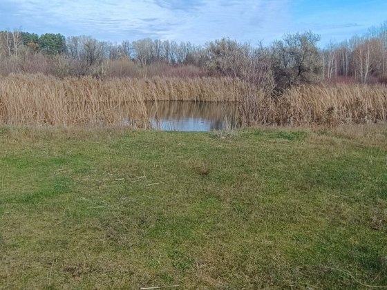 Продаж земельної ділянки  в Дахнівкі. Черкассы