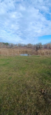 Продаж земельної ділянки  в Дахнівкі. - фото 1