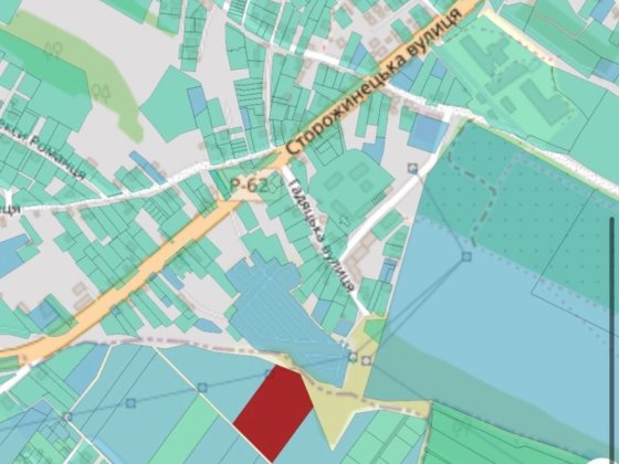 Продається земельна ділянка.Мальованка 1 га,під будівництво. Черновцы