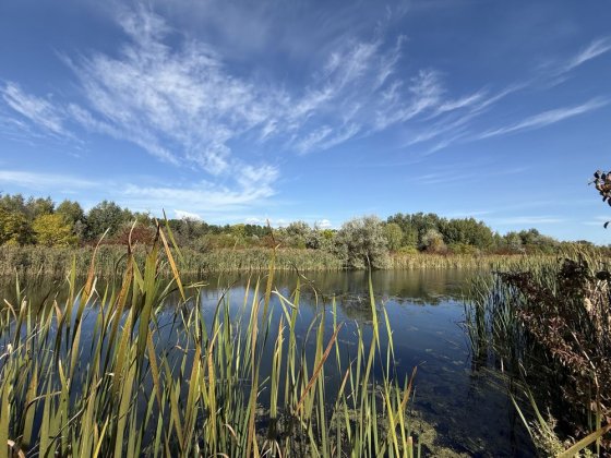 Дві класних ділянки біля води Дахнівка Черкассы