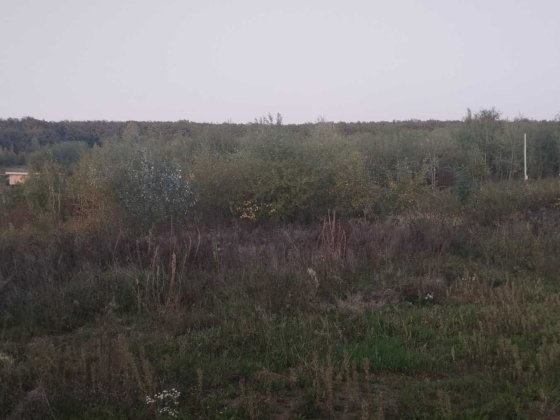 Продається земельна ділянка, вул. Іршавська Код: 21906