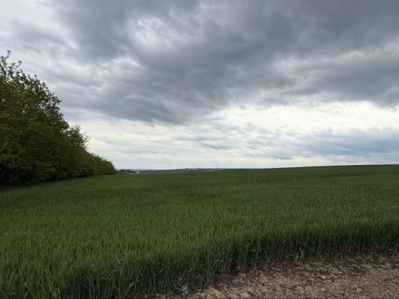 Продається земля Чернівці Черновцы