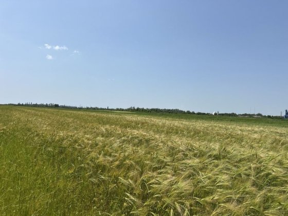 Продаж унікальної земельної ділянки 2 га! Комерційне призначення!