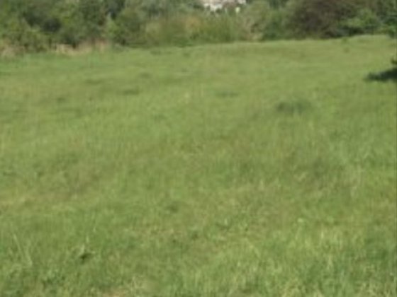 Продам  ровный участок земли гос акт кадастровый номер В краснополье